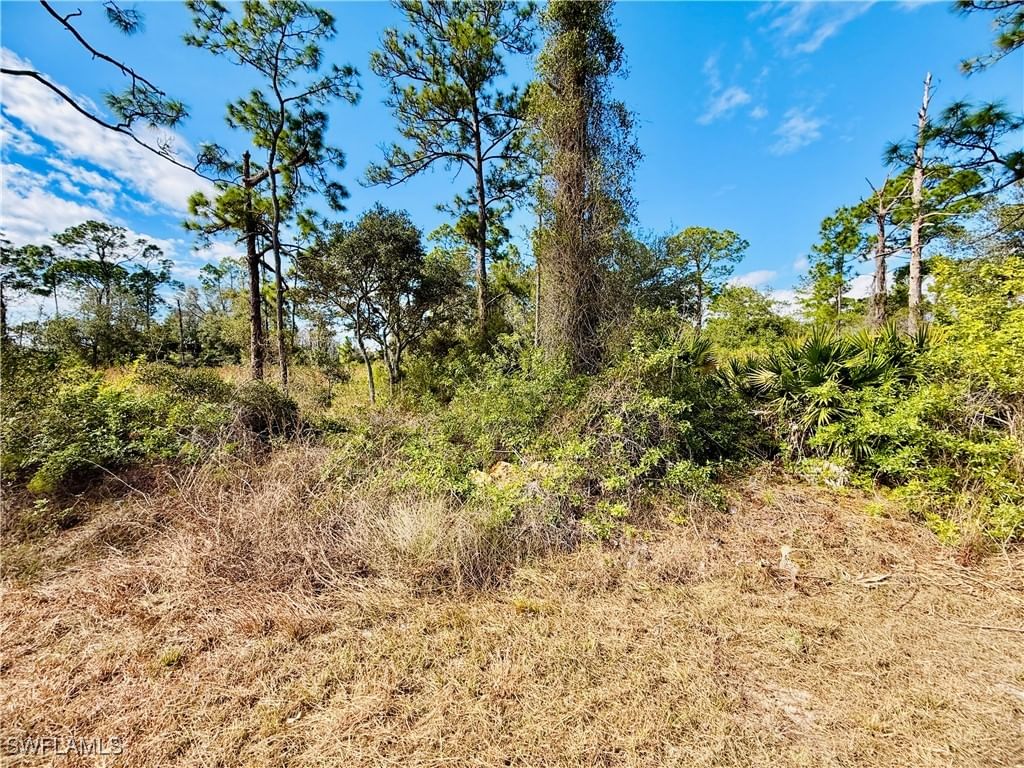 2007 Truman Avenue, Alva, FL 33920 photo 2