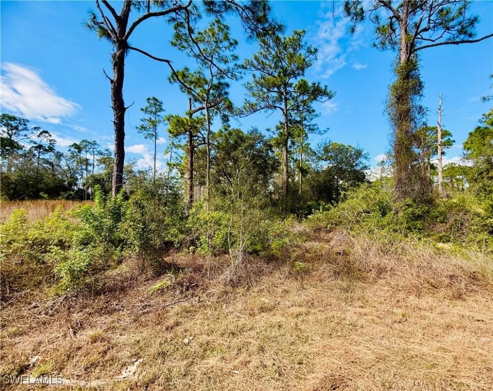 2007 Truman Avenue, Alva, FL 33920 photo 3