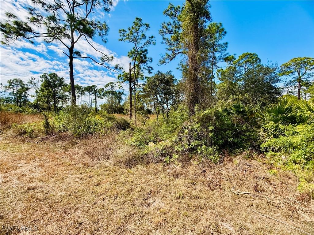2007 Truman Avenue, Alva, FL 33920 photo 4
