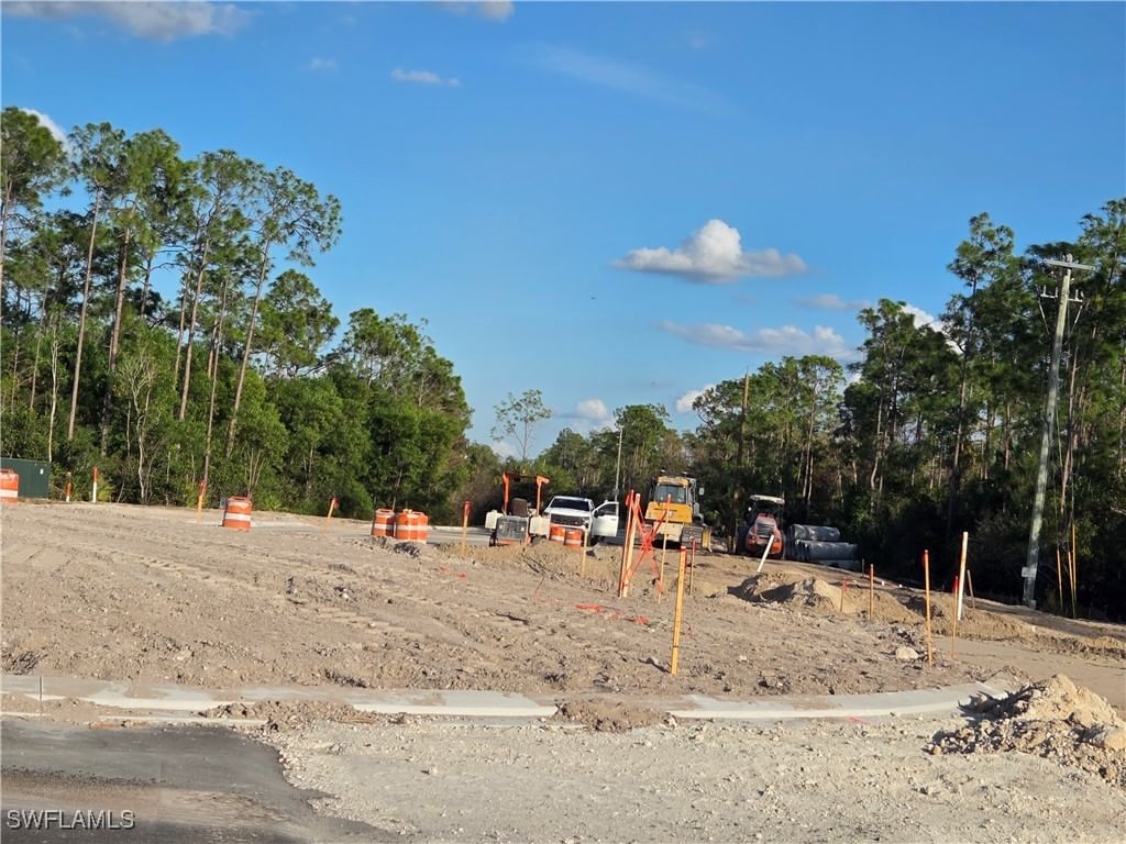 13541 E Terry Street, Bonita Springs, FL 34135 photo 2