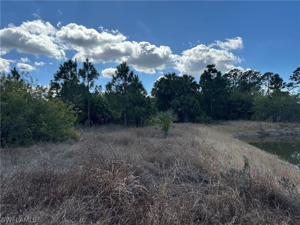 35XX Everglades Boulevard N, Naples, FL 34120 photo 5