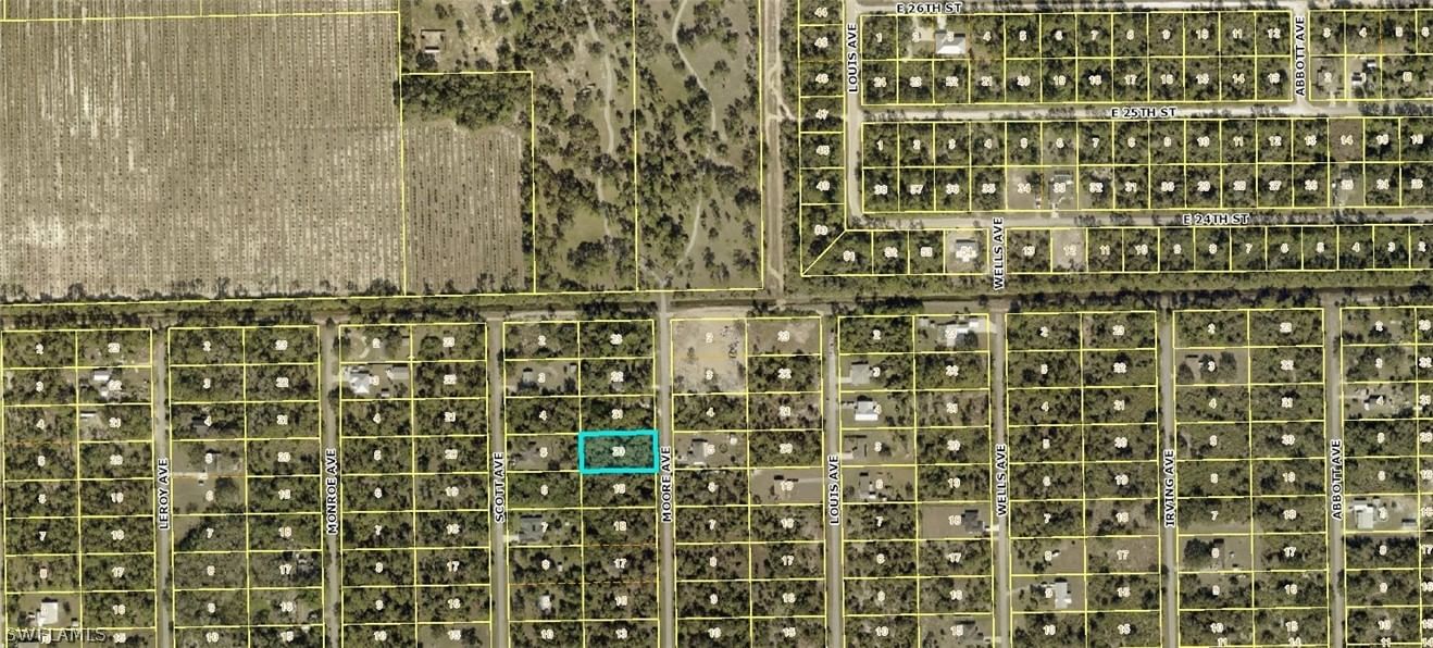 2315 Moore Avenue, Alva, FL 33920 photo 3