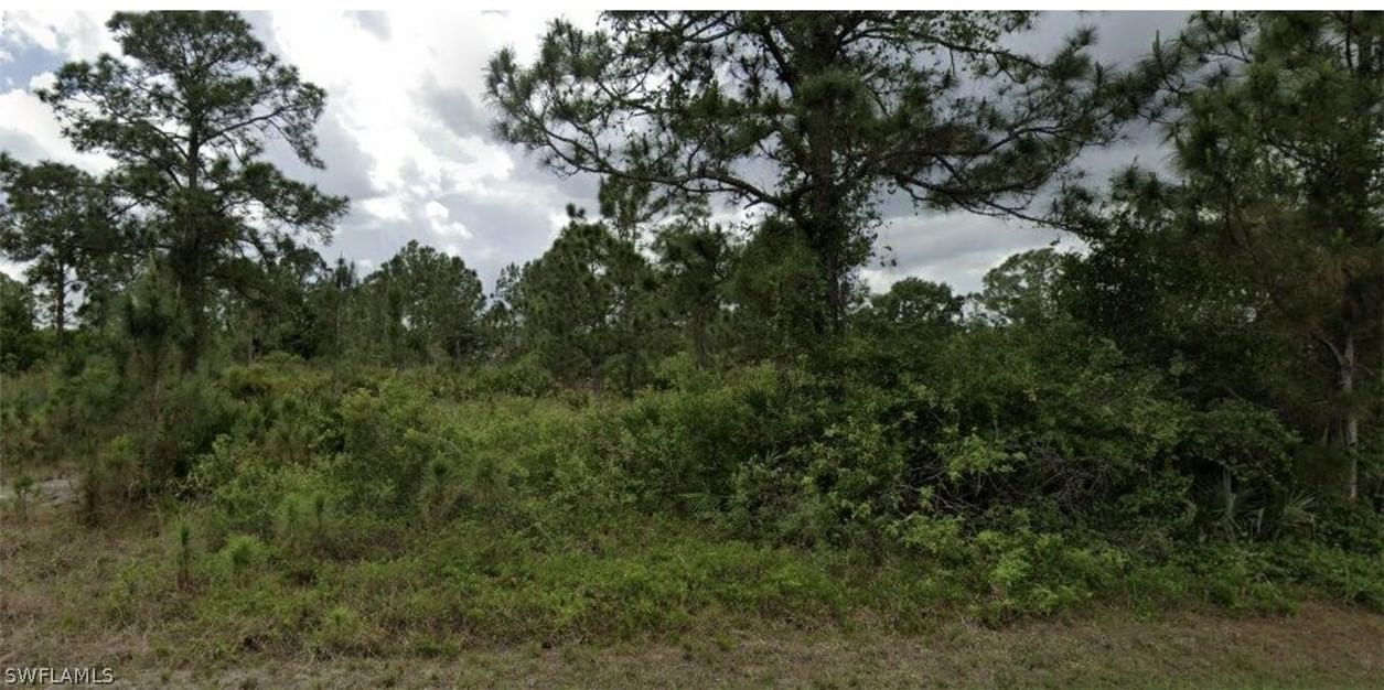 3109 45th Street W, Lehigh Acres, FL 33971 photo 2