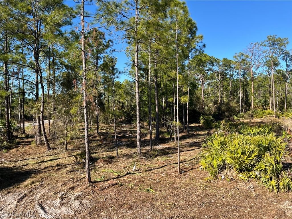 314 Spokane Avenue, Lehigh Acres, FL 33972 photo 2