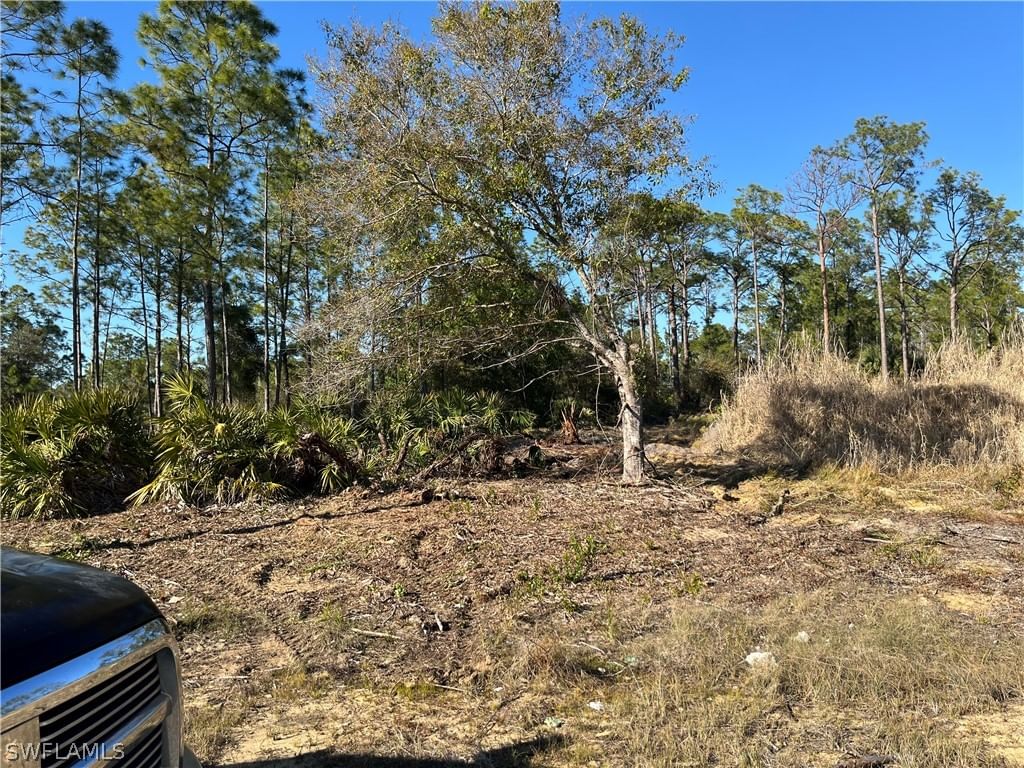 314 Spokane Avenue, Lehigh Acres, FL 33972 photo 3