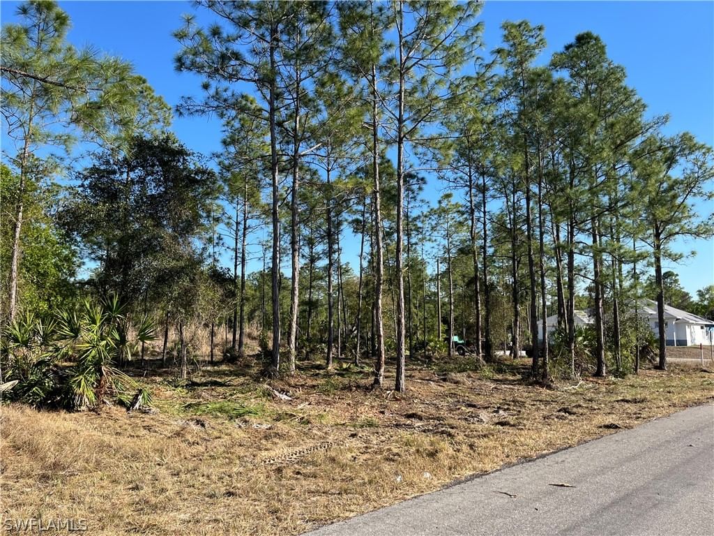 314 Spokane Avenue, Lehigh Acres, FL 33972 photo 4