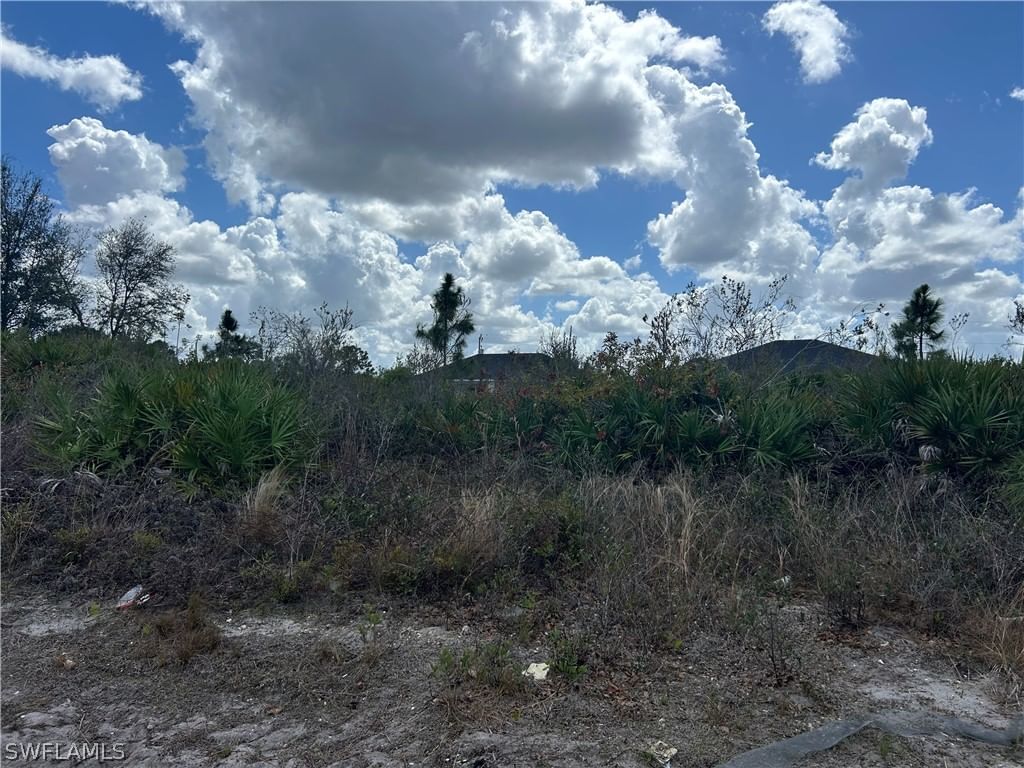 3205 W 8th Street, Lehigh Acres, FL 33971 photo 3