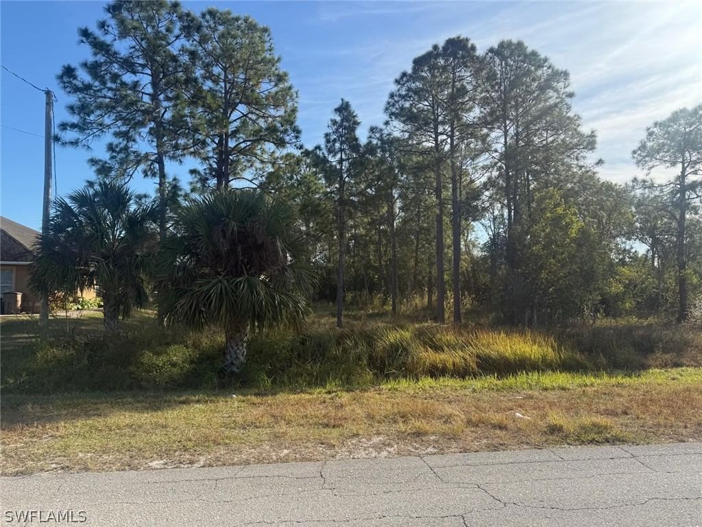 753/755 Eisenhower Boulevard, Lehigh Acres, FL 33974 photo 4