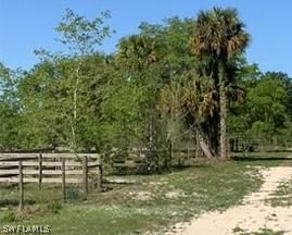 755 Rialto Pointe Drive, Labelle, FL 33935 photo 4