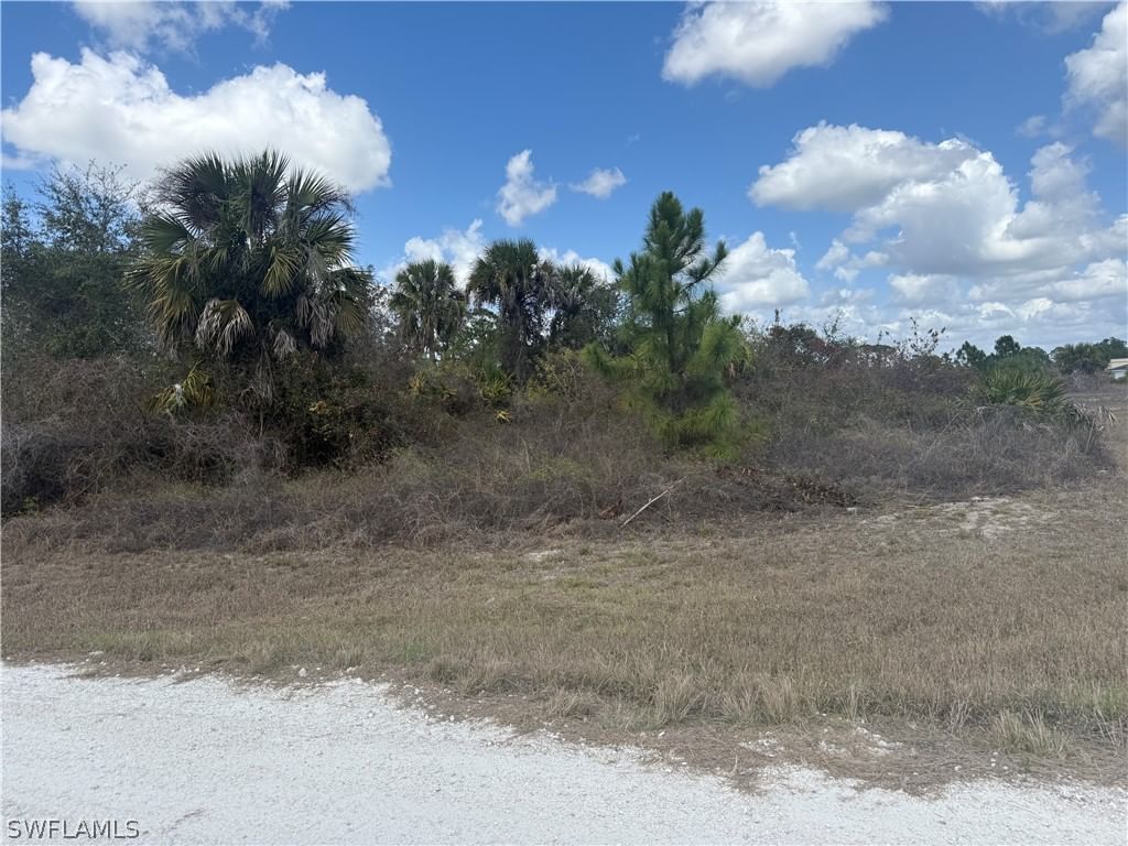 1900 W 18th Street, Lehigh Acres, FL 33972 photo 2