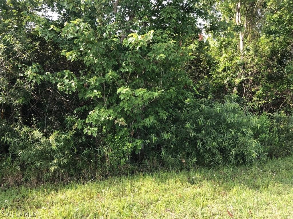 630 Shady Hollow Boulevard W, Naples, FL 34120 photo 5