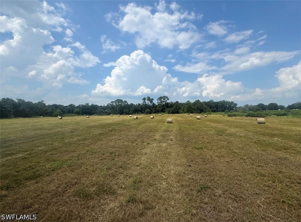 Address available by request, Wauchula, FL 33873 photo 2