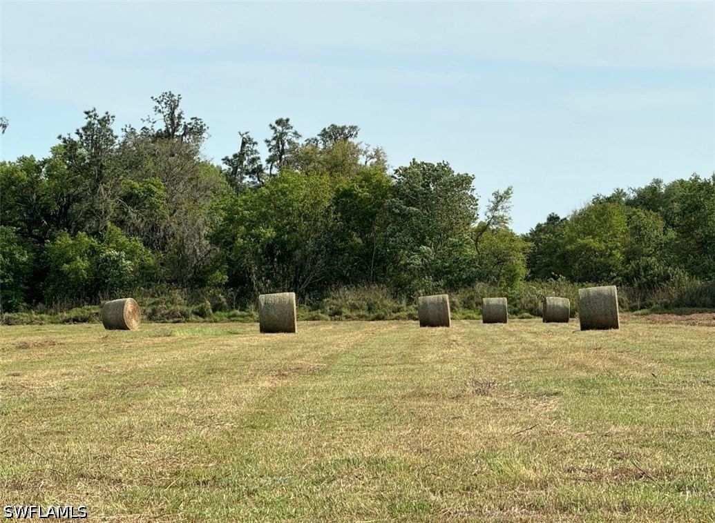 Address available by request, Wauchula, FL 33873 photo 4