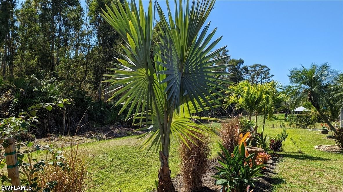23238 Marsh Landing Boulevard, Estero, FL 33928 photo 3