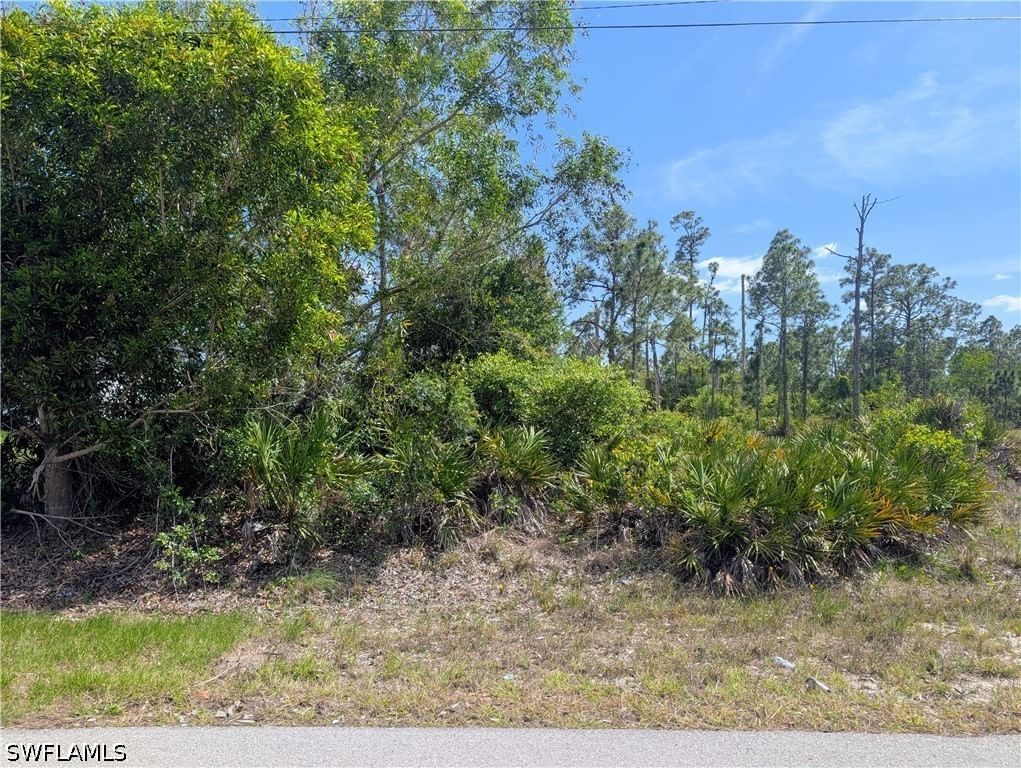 1042 Manning Street, Lehigh Acres, FL 33974 photo 3