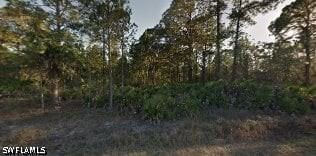 1205 W 17th Street, Lehigh Acres, FL 33972 photo 2