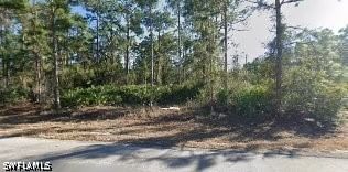 707 W 17th Street, Lehigh Acres, FL 33972 photo 2