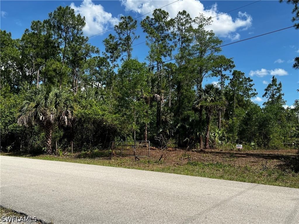 16th Street 16th Street NE, Naples, FL 34120 photo 5