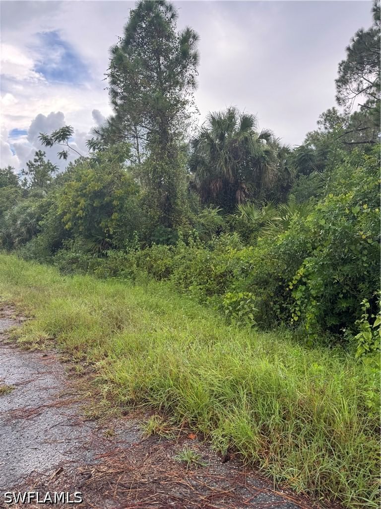 325 Irving Avenue, Lehigh Acres, FL 33936 photo 2