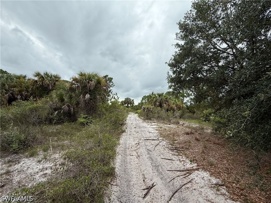 Eisenhower Blvd Eisenhower Blvd, Lehigh Acres, FL 33974 photo 4