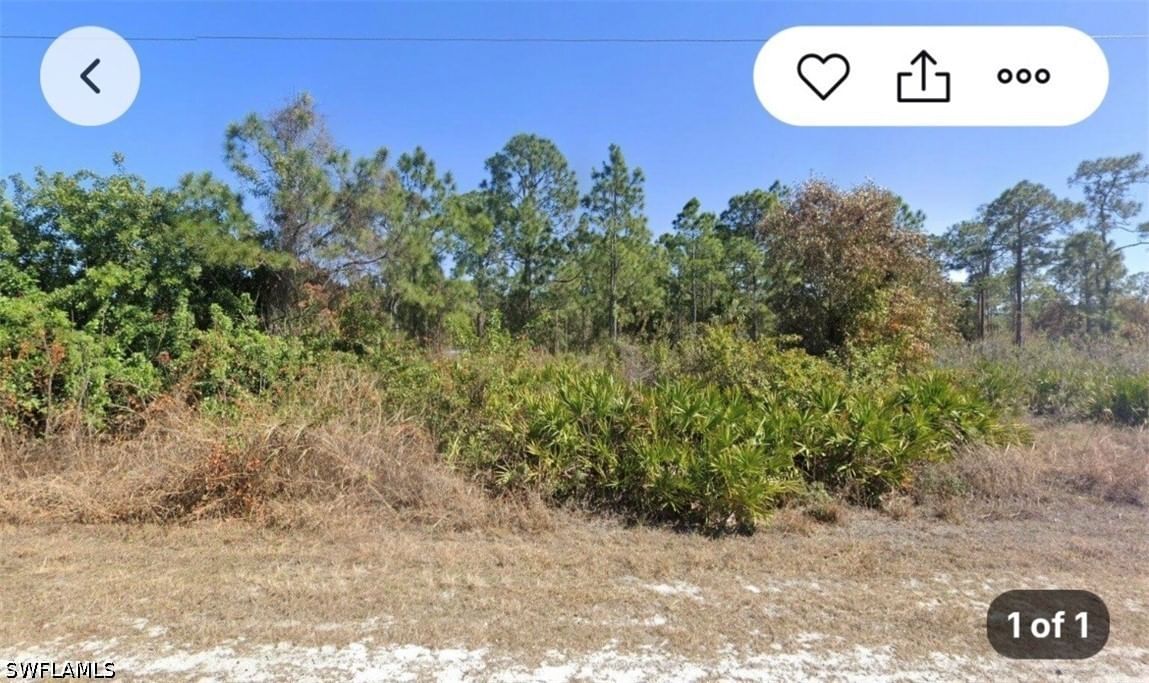 212 Moore Avenue, Lehigh Acres, FL 33936 photo 2