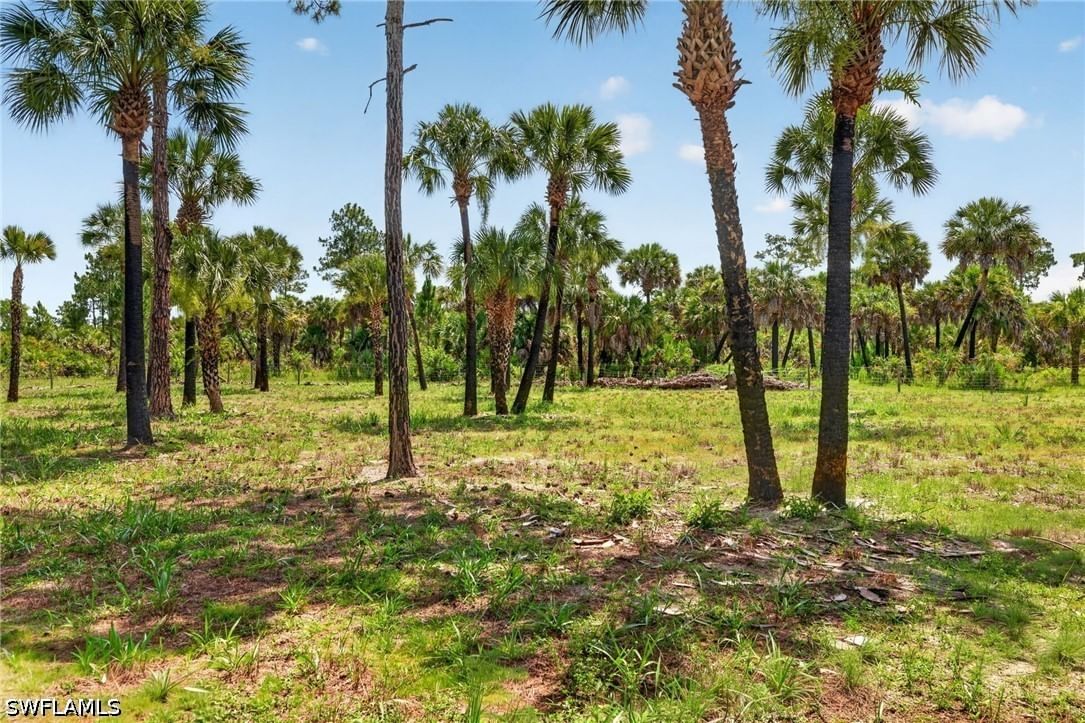 XXX Ivy Way, Naples, FL 34117 photo 4