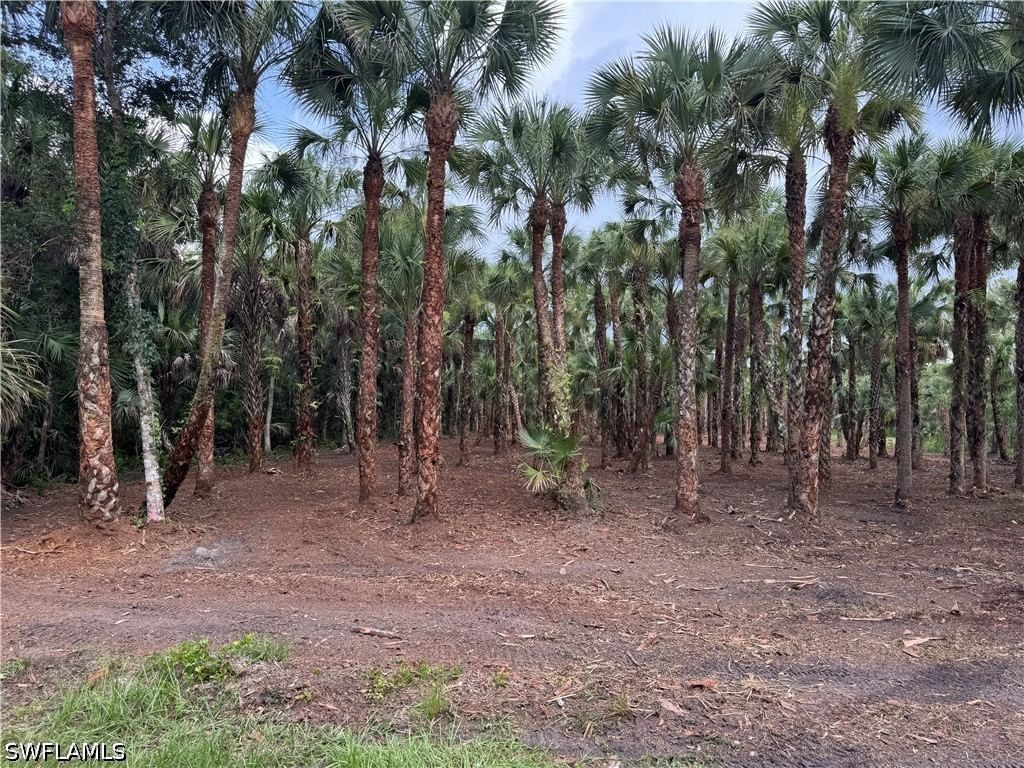 14TH AVE NW, Naples, FL 34120 photo 2