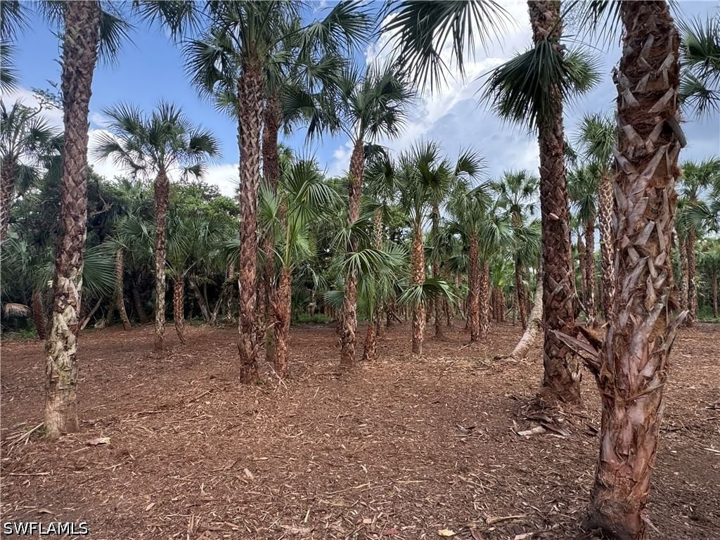 14TH AVE NW, Naples, FL 34120 photo 4