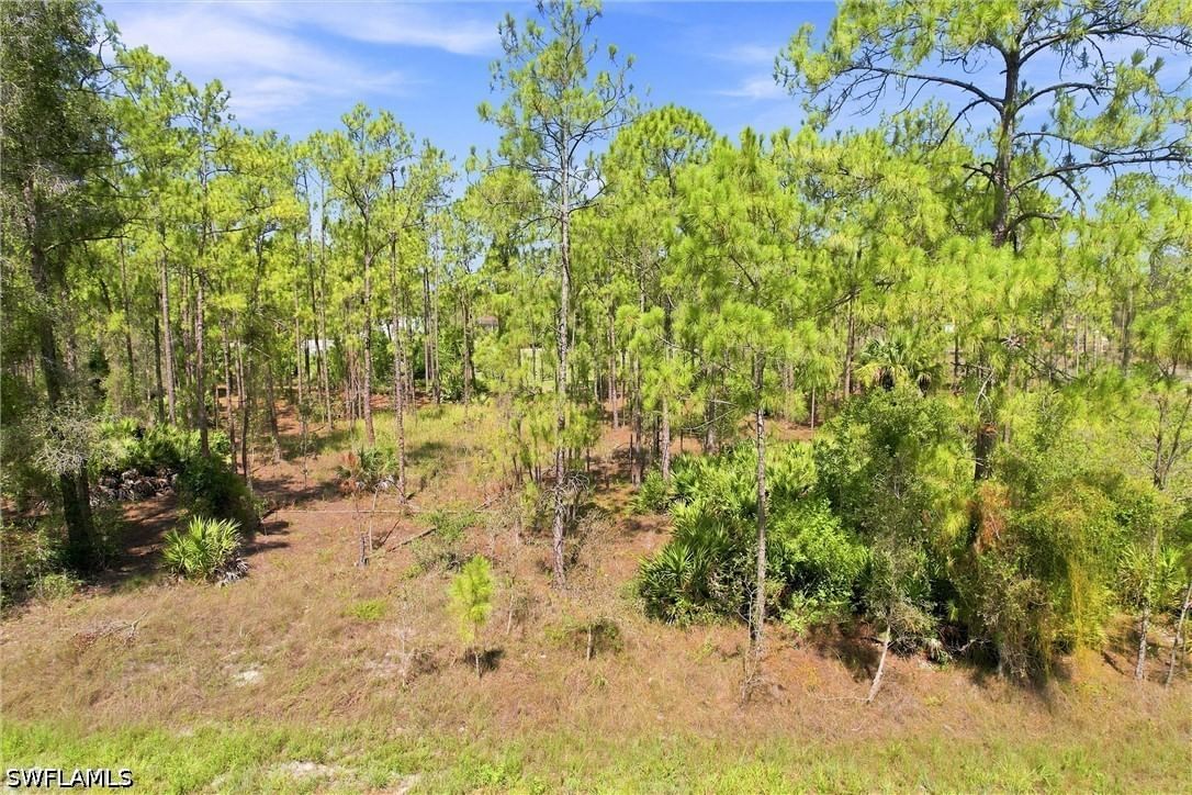 1405 Washington Avenue, Lehigh Acres, FL 33972 photo 4
