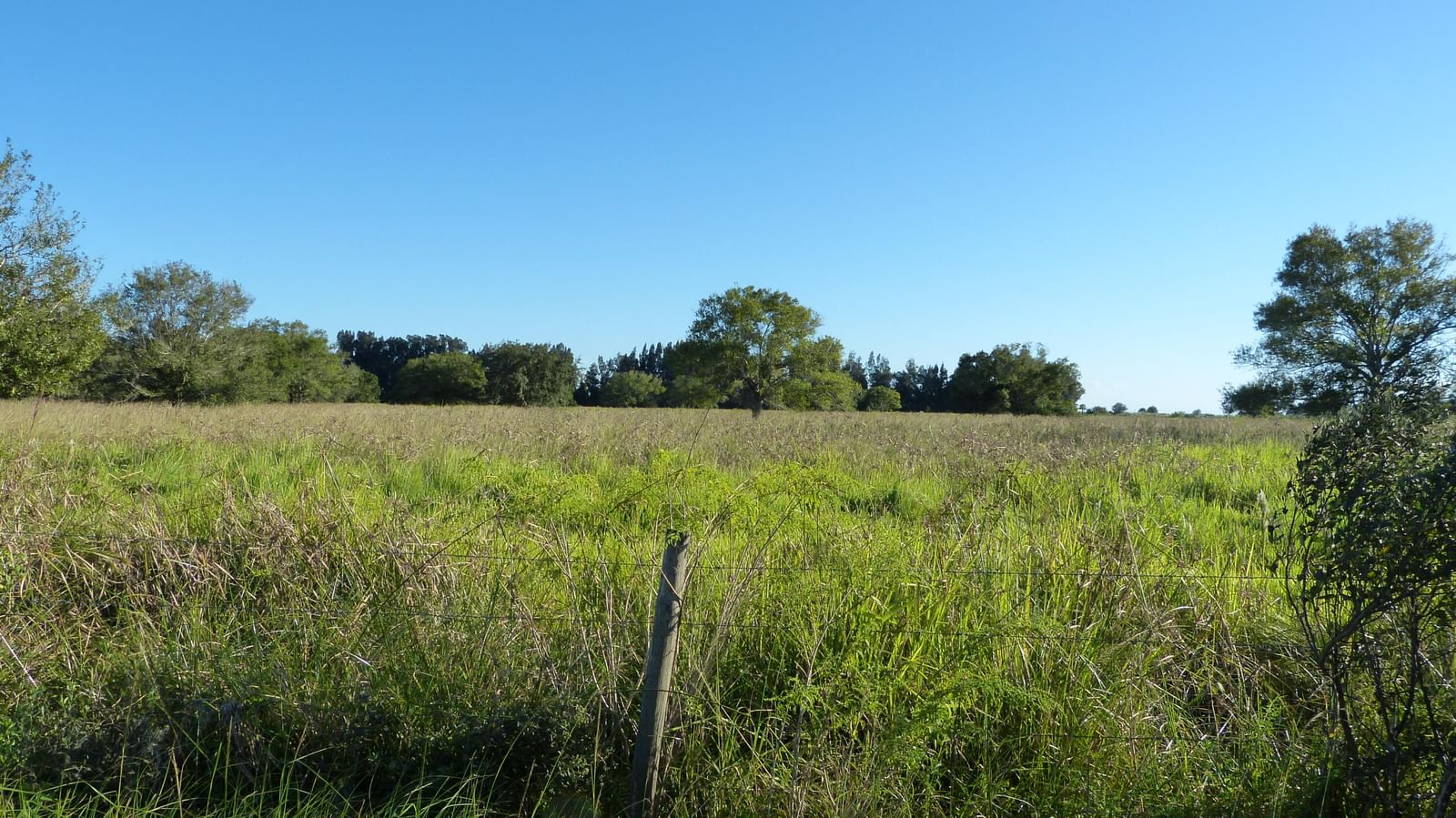 Tbd Pineapple Lane, Fort Pierce, FL 34945 photo 3