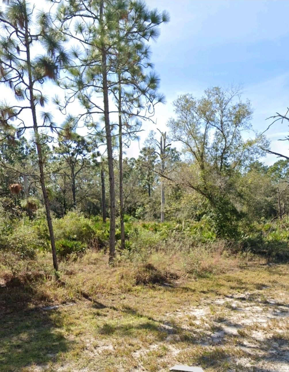 920 Gaillardia Drive, Indian Lake Estates, FL photo 3