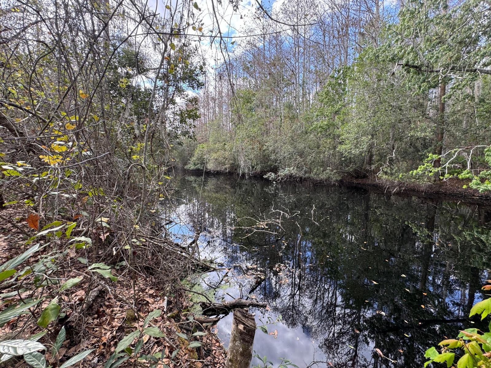 000 1st Street, Kenansville, FL 34739 photo 2