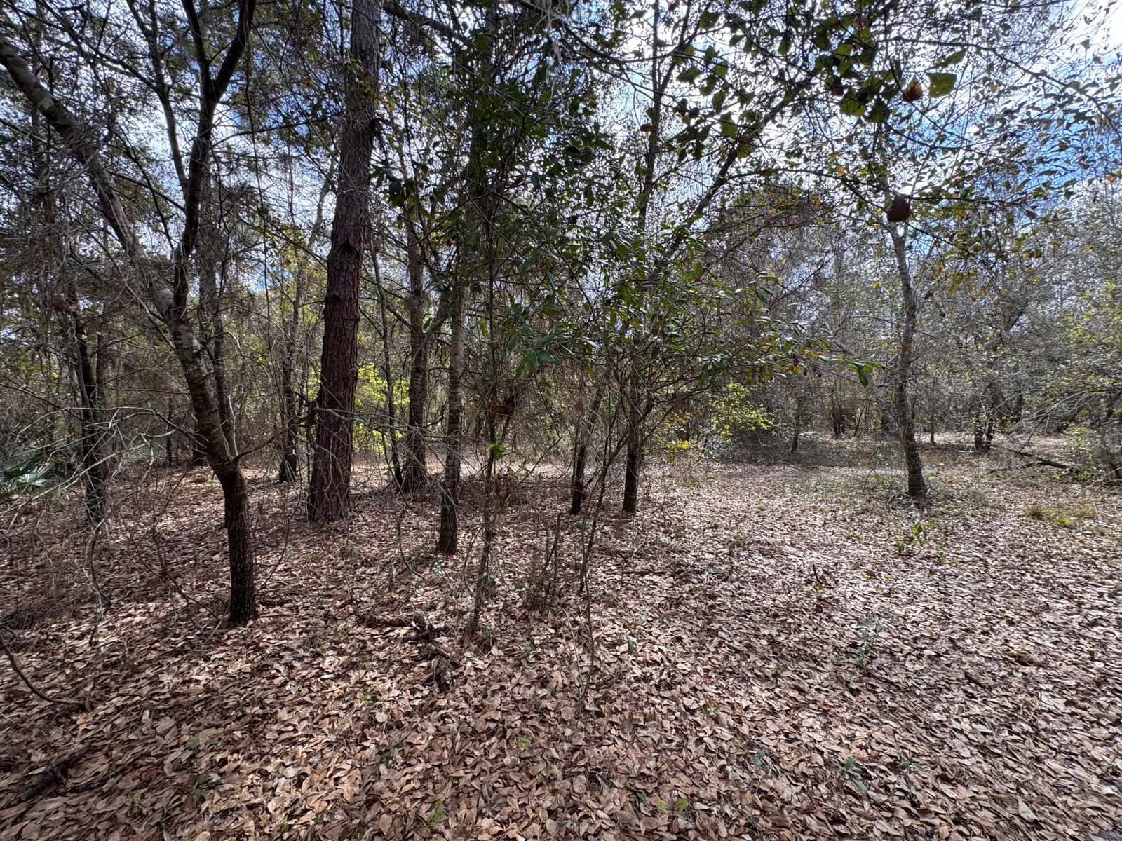 000 1st Street, Kenansville, FL 34739 photo 3
