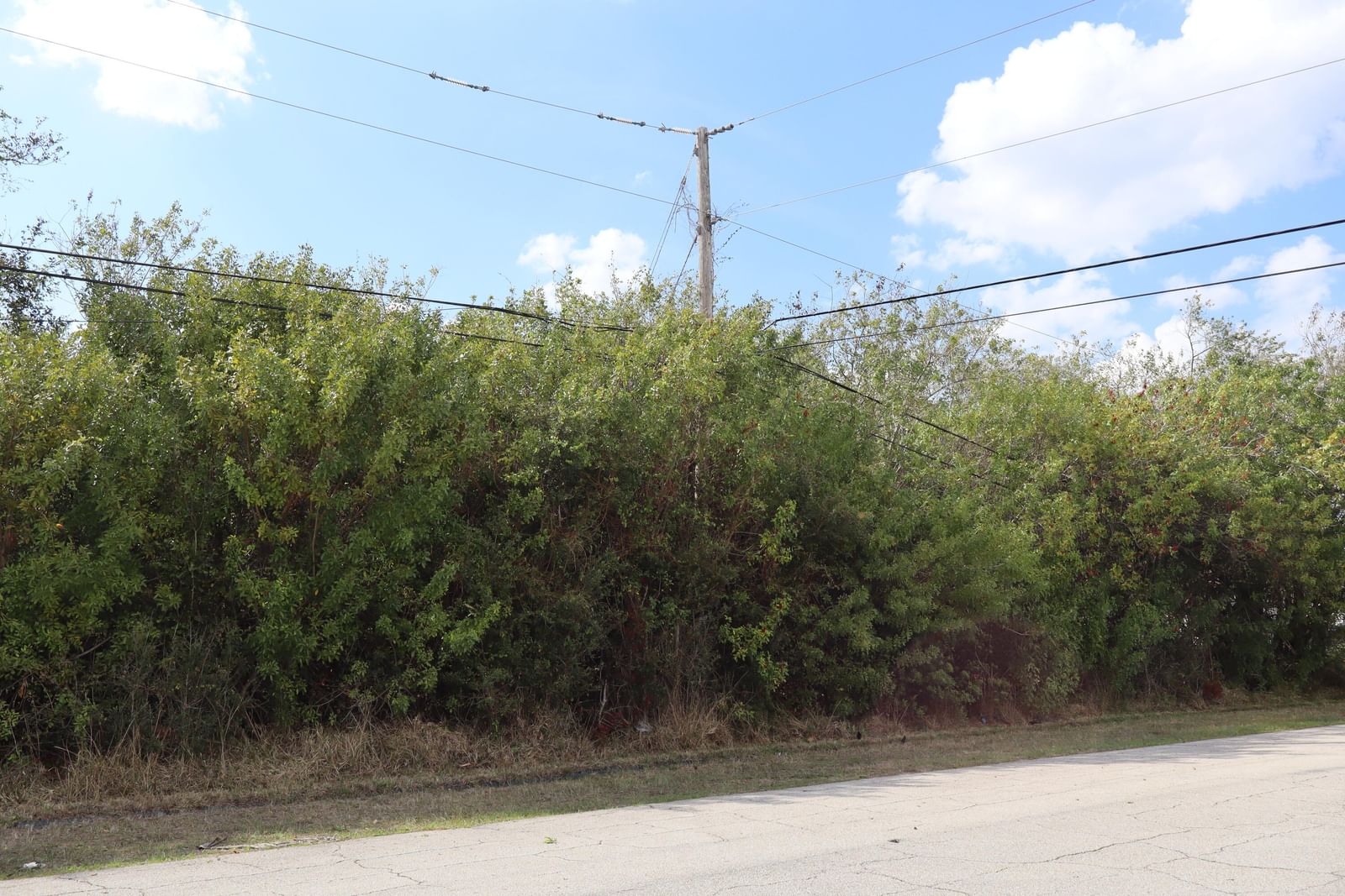 4492 SW Paley Road, Port St Lucie, FL 34953 photo 2