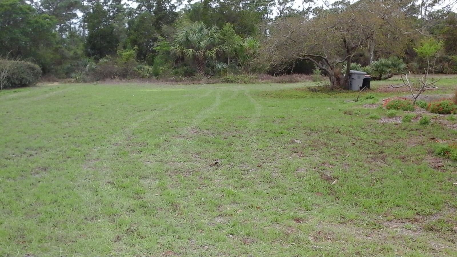 8065 126th Street, Sebastian, FL 32958 photo 2