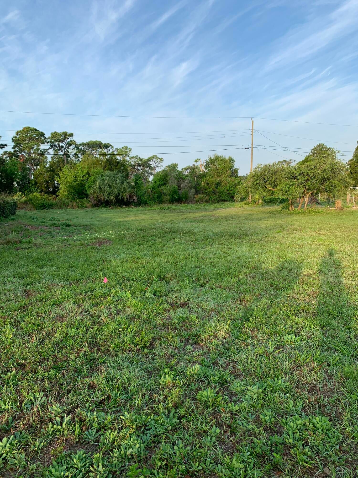 8065 126th Street, Sebastian, FL 32958 photo 3