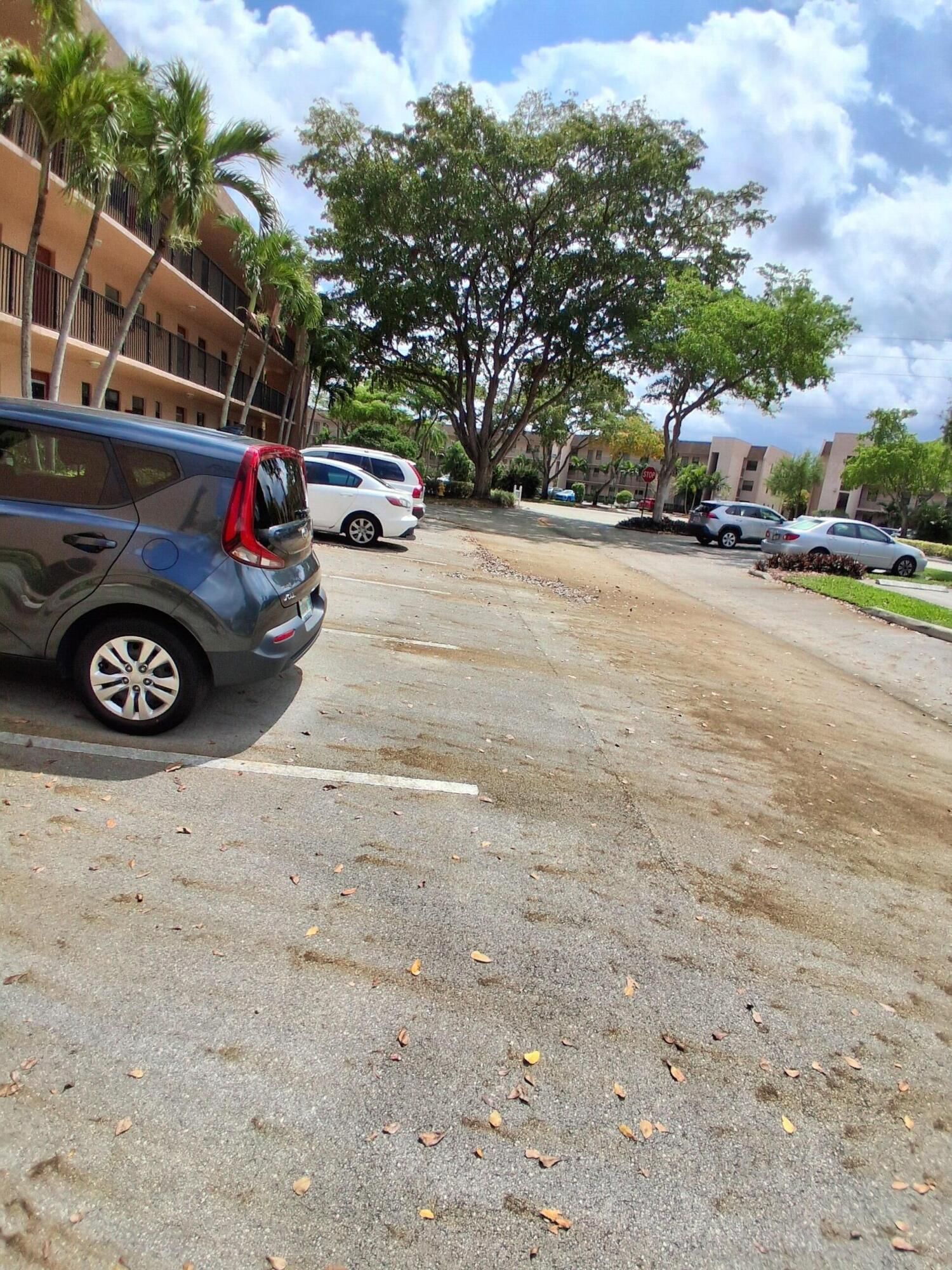 10303 Sunrise Lakes Boulevard #103, Sunrise, FL 33322 photo 3