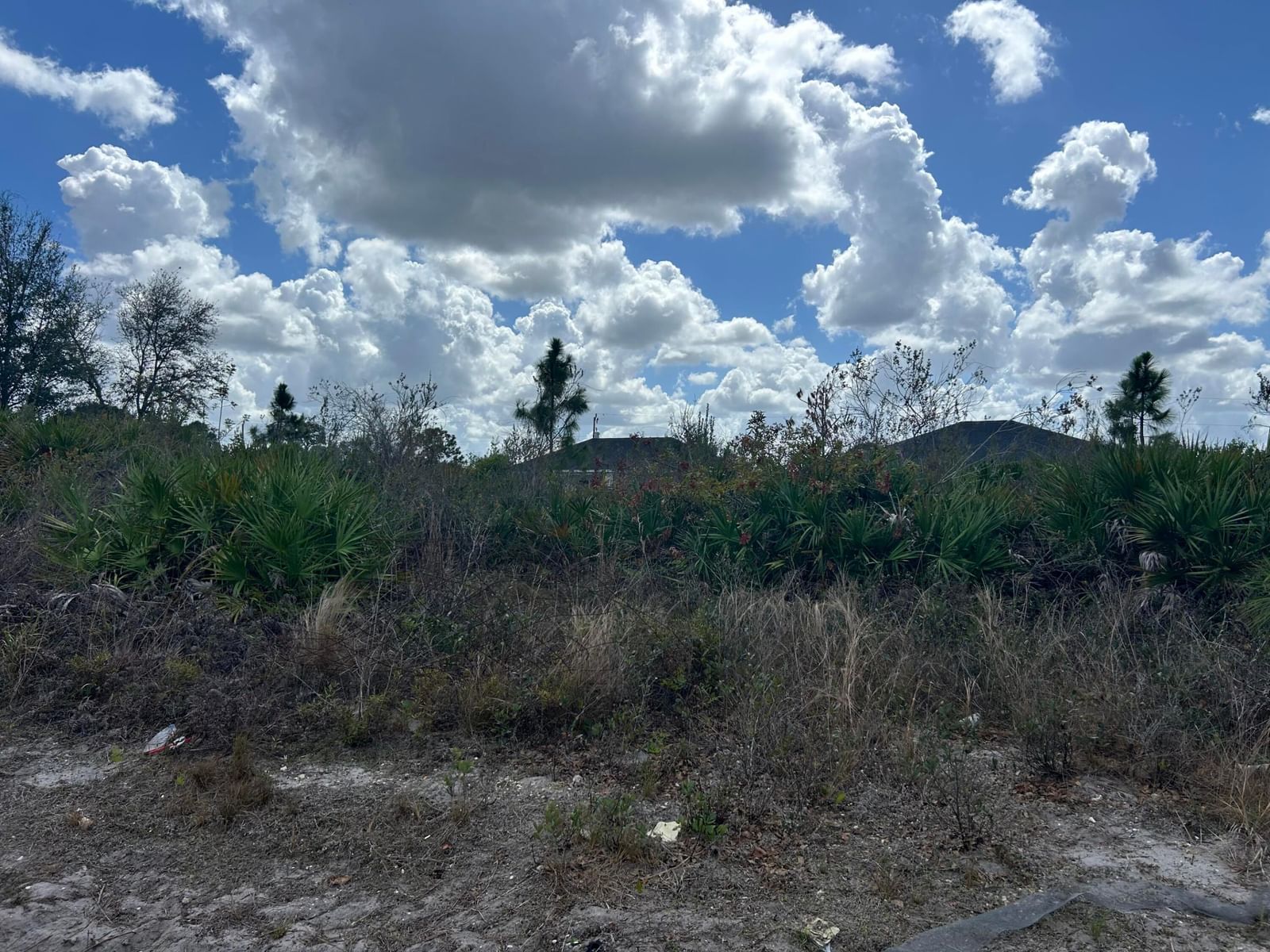 3205 8th Street W, Lehigh Acres, FL 33971 photo 3