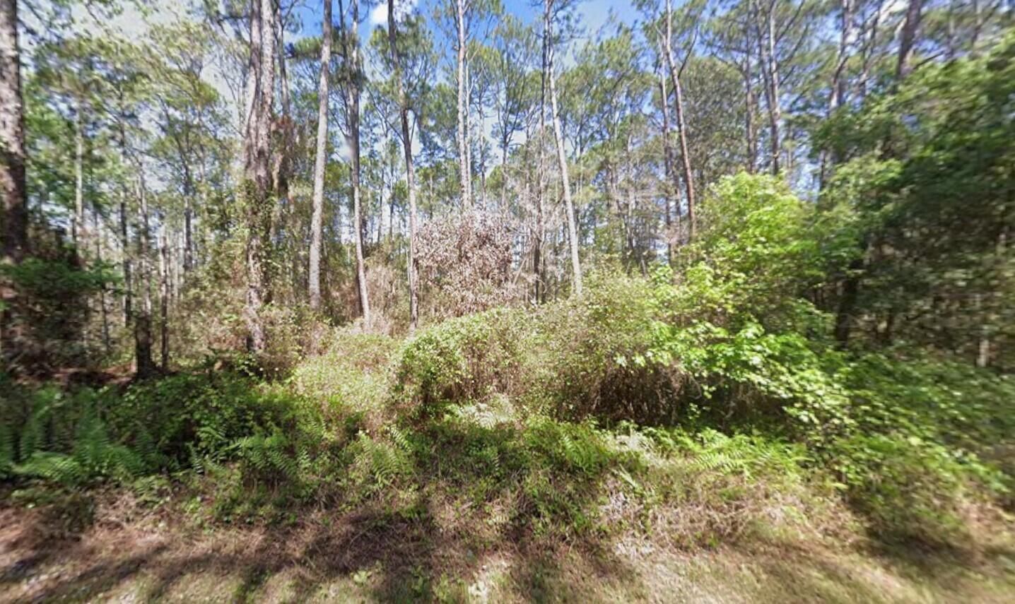416 Palm Way, Georgetown, FL 32139