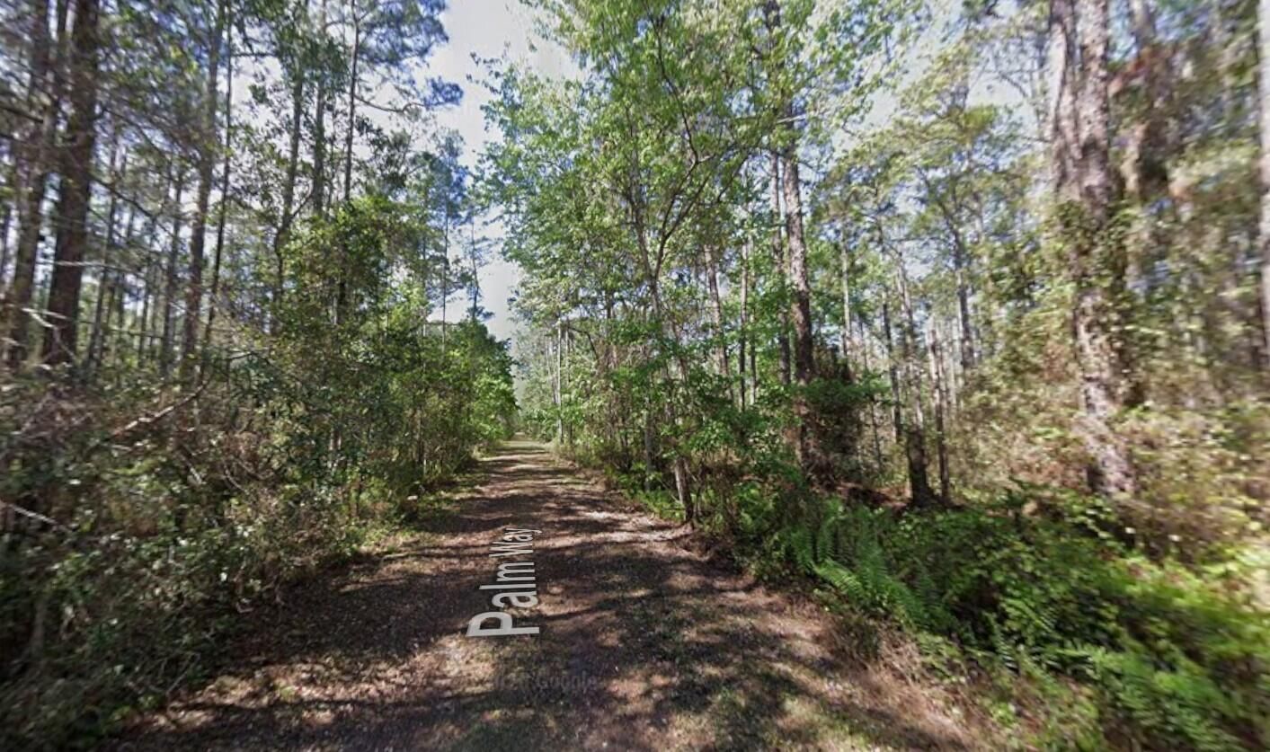 416 Palm Way, Georgetown, FL 32139 photo 2