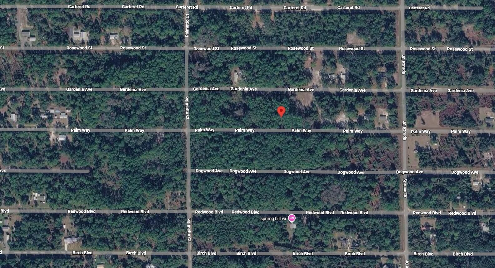 416 Palm Way, Georgetown, FL 32139 photo 3