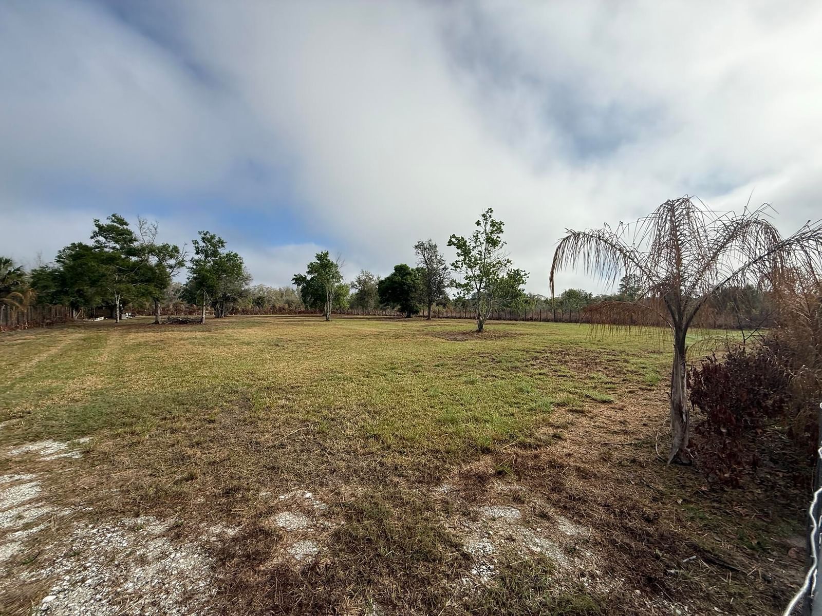 17231 NW 268th Street, Okeechobee, FL 34972 photo 5