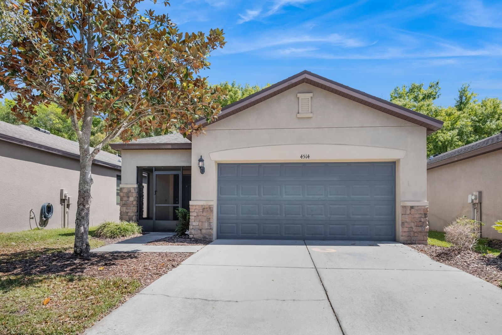 4514 Paper Mulberry Place, Riverview, FL 33578