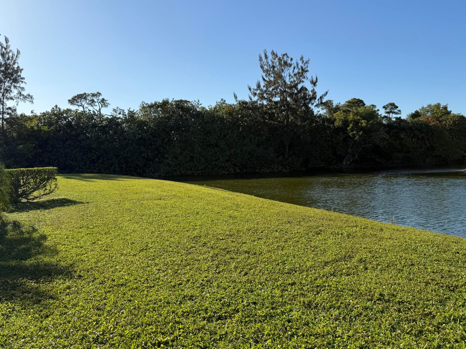 81 Camden #D, West Palm Beach, FL 33417 photo 4