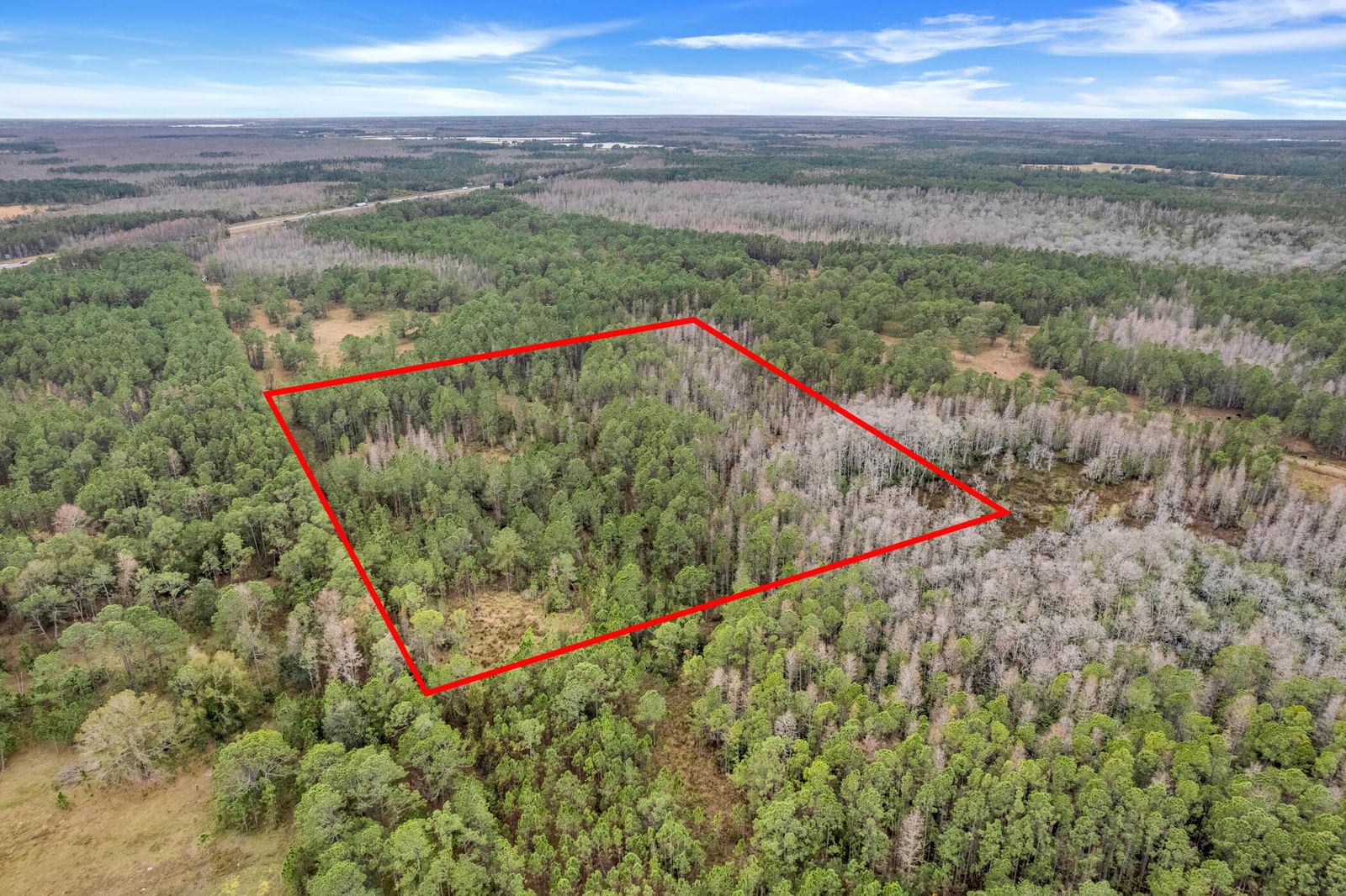 000 No Street, Polk City, FL 33868 photo 3