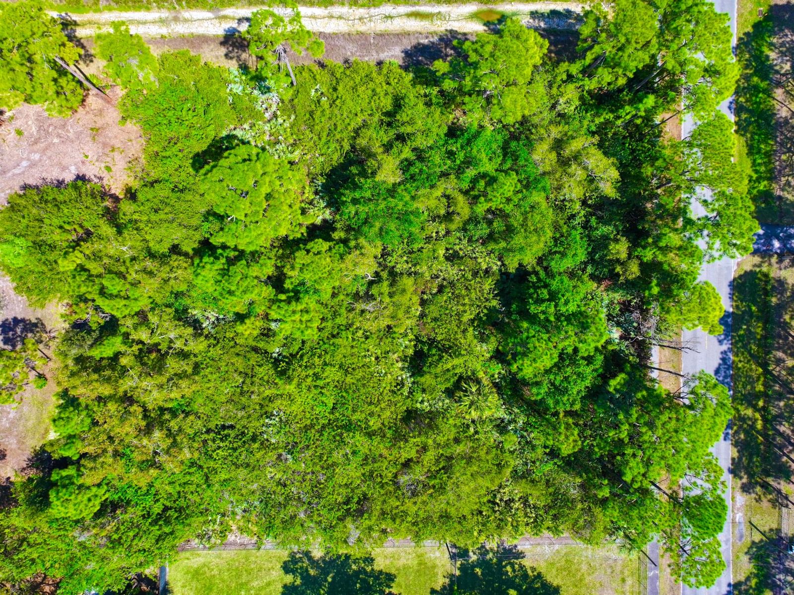 17771 Key Lime Boulevard, The Acreage, FL 33470 photo 3