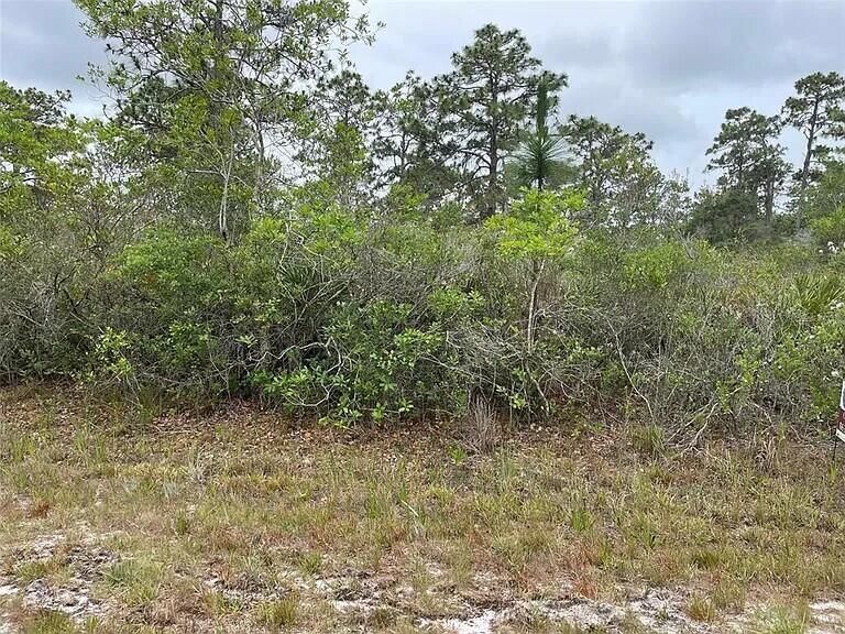 0 Bougainvillea Drive, Indian Lake Estates, FL photo 2