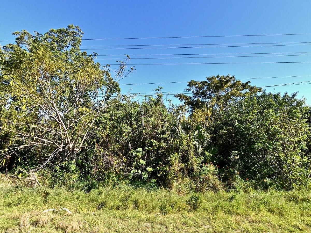 3950 N Us Highway 1, Fort Pierce, FL 34946 photo 2