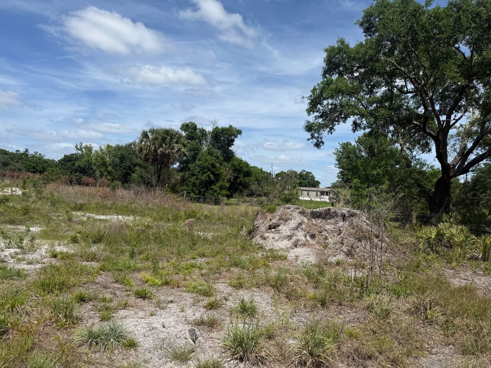 18121 NW 256th Street, Okeechobee, FL 34972 photo 3