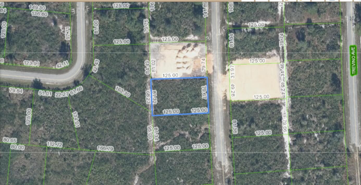 4925 Fettuccine Avenue, Sebring, FL 33872 photo 3